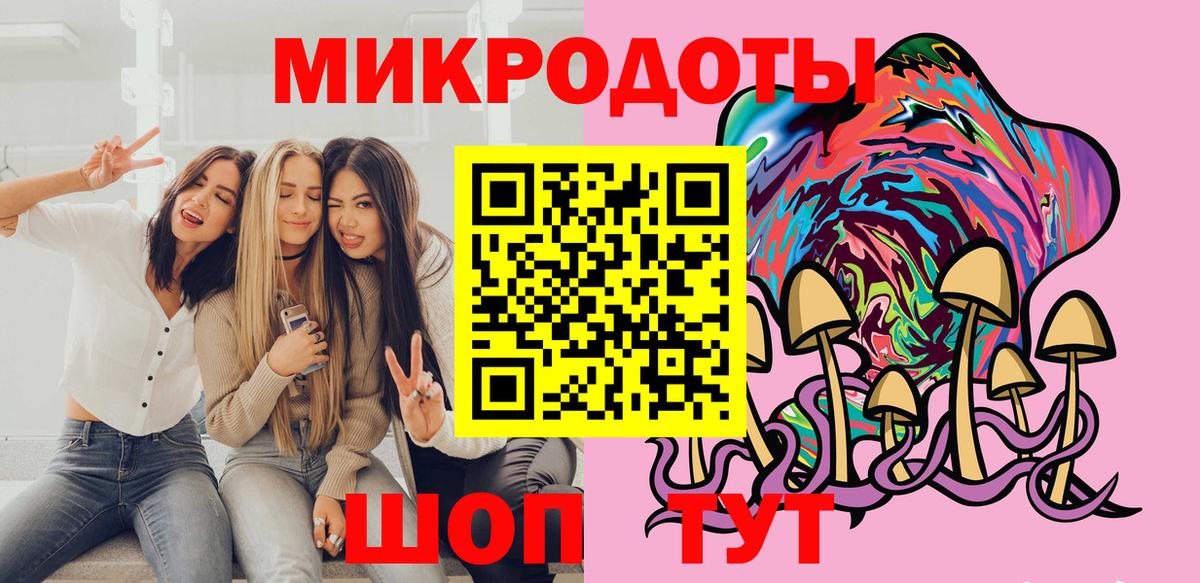Псилоцибиновые грибы Cubensis Петрозаводск